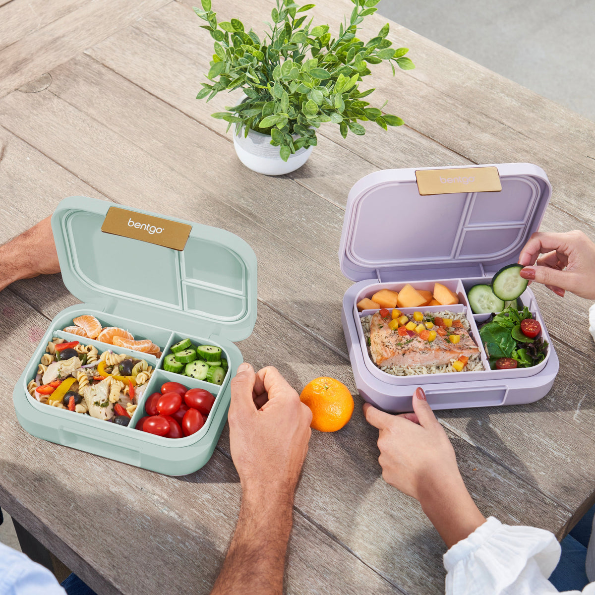 bentgo-modern-lunch-box-2-pack-j6 COSTCOBMCPRODUCTIMAGE_2.jpg